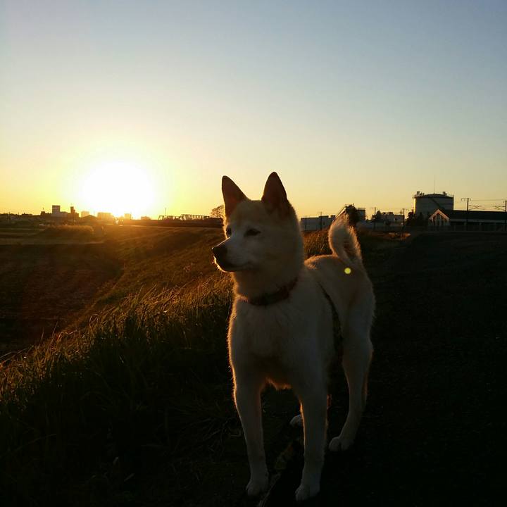 6f835480 0fe4 4704 9f5d d7e41f00140e