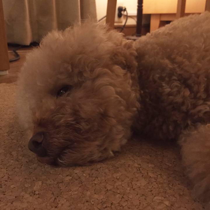 6f83681d b3c7 40e0 bd47 71e9852730fb