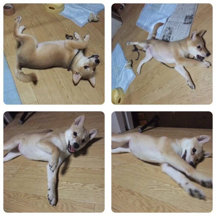 6f8390c8 beda 432c b783 93f45172c158