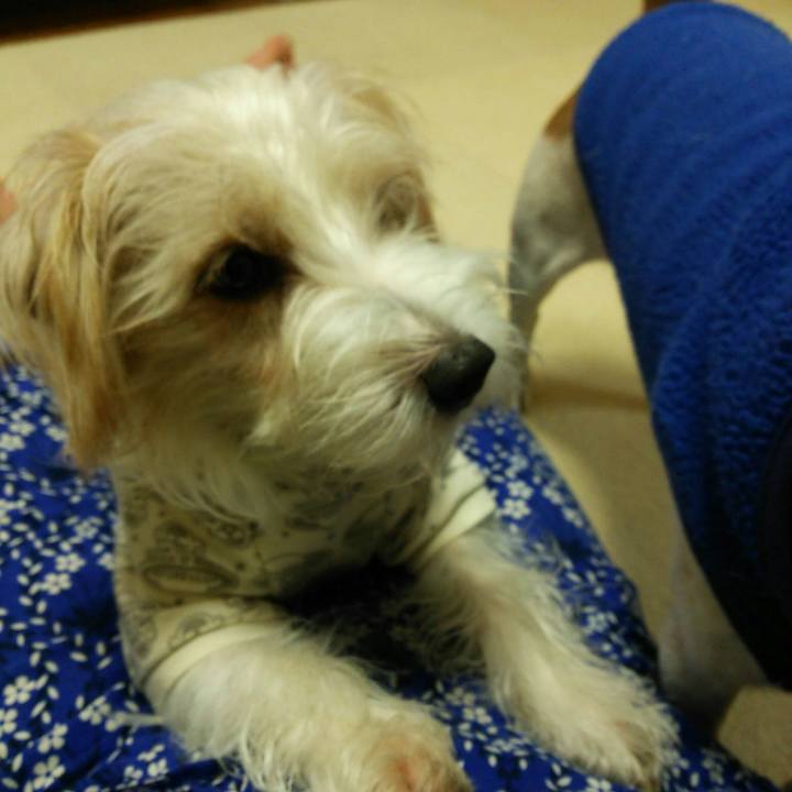 6f83dbed 6caa 40b7 a8b5 860cab4007cd