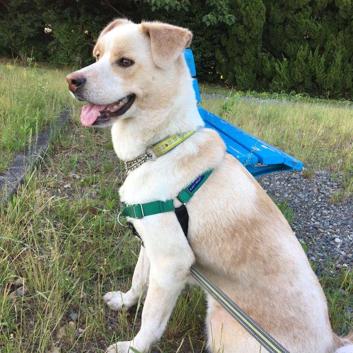 6f83e29a ef2d 4e0c a820 ce470b7e32d1