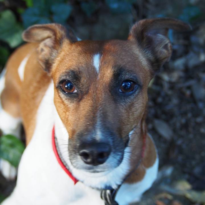 6f841bd6 a01f 41ab 95d9 703050138f5d