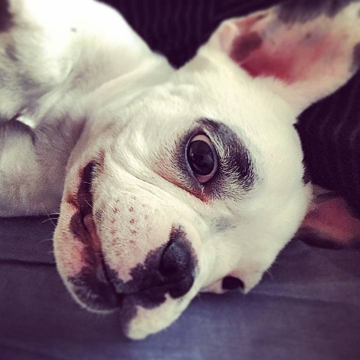 6f849b15 a6cb 4940 b1fc 22a384730834