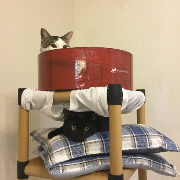 6f853fda f8a8 4791 8ac7 adbf4910ad02