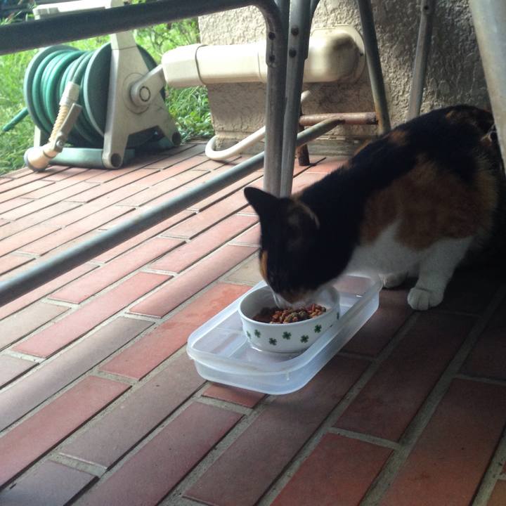 6f855f7d b772 4ec1 91be 59bd783c2df6