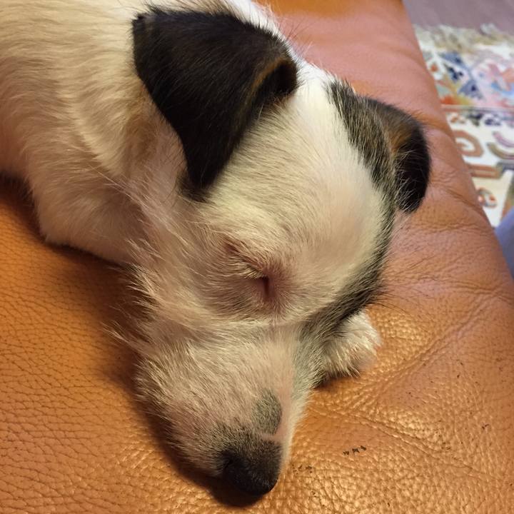 6f85a114 9aa2 48bd b4a3 e0449d9ed191