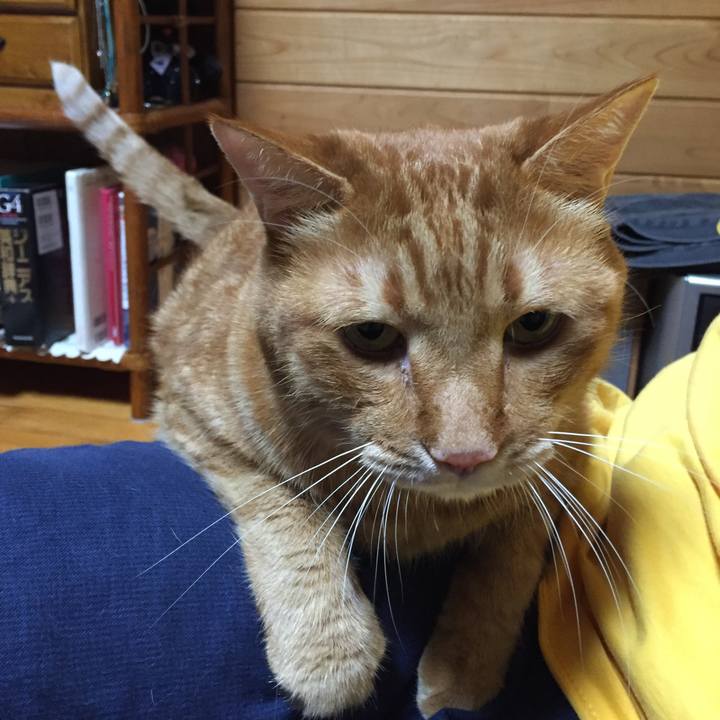 6f862d64 116f 4b1b a54f 72f8ae800baa