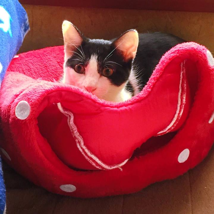 6f863676 1771 46a0 bbe8 cf031483f3a5