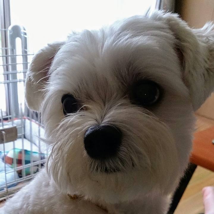 6f86425c be49 4ac2 ac48 7919968bae99