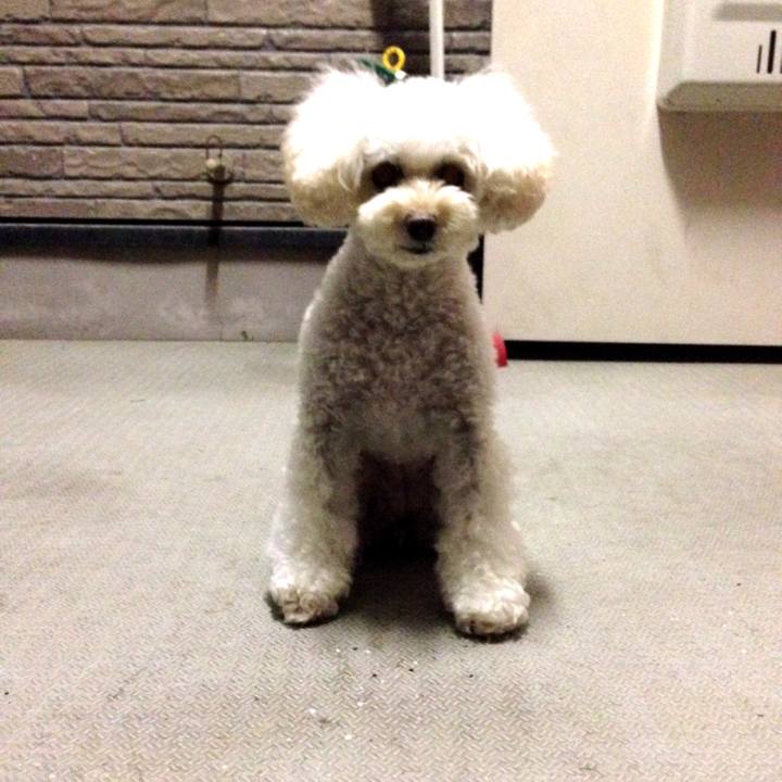 6f866cdd 30ae 49e7 beb4 a0d940f7d563