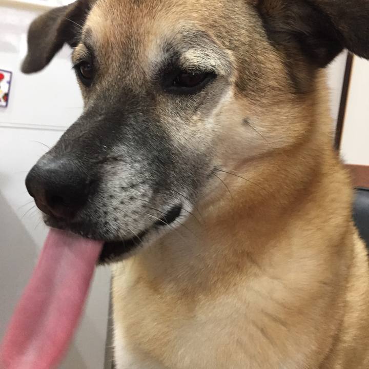 6f868275 e9fc 453a ac02 c0392538703b