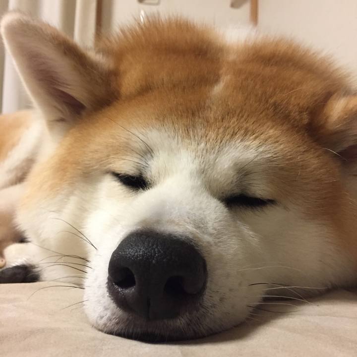 6f869fdf a24f 455e 816d e8f9a306316c