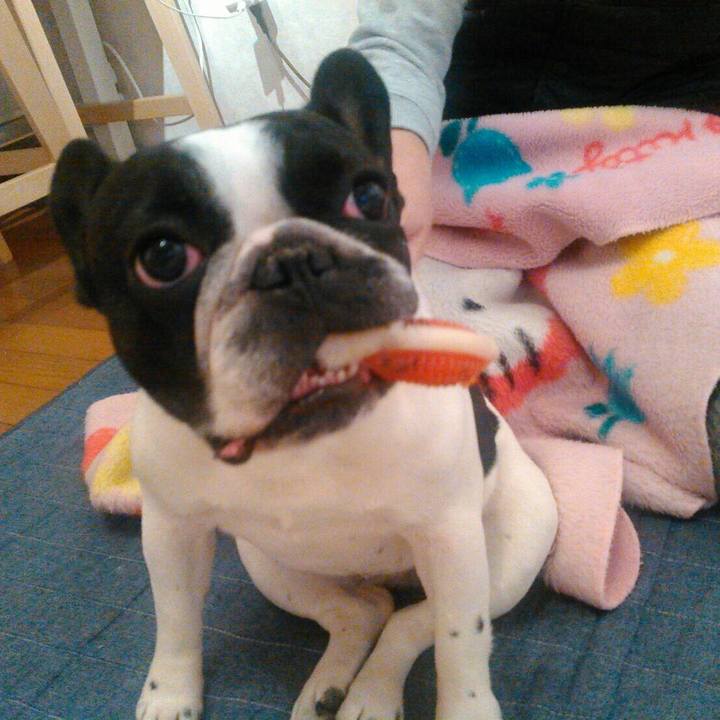 6f86bff9 a553 45a7 a84c f7945fdee0d0