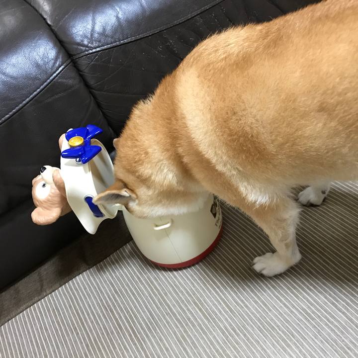 6f875c19 06a2 4a0b 9ce6 e13464ef505c