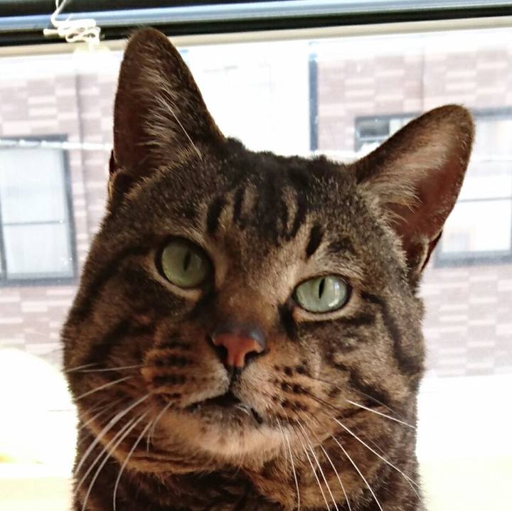 6f878af1 ade2 447f b87c bb7834caf9d0