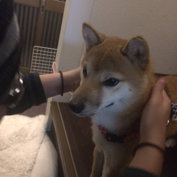 6f87d337 2996 4e1b 8be2 35ffa276f250