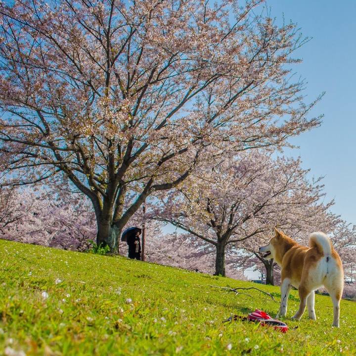 6f884486 d969 4601 86f8 a1821d3cbc5f