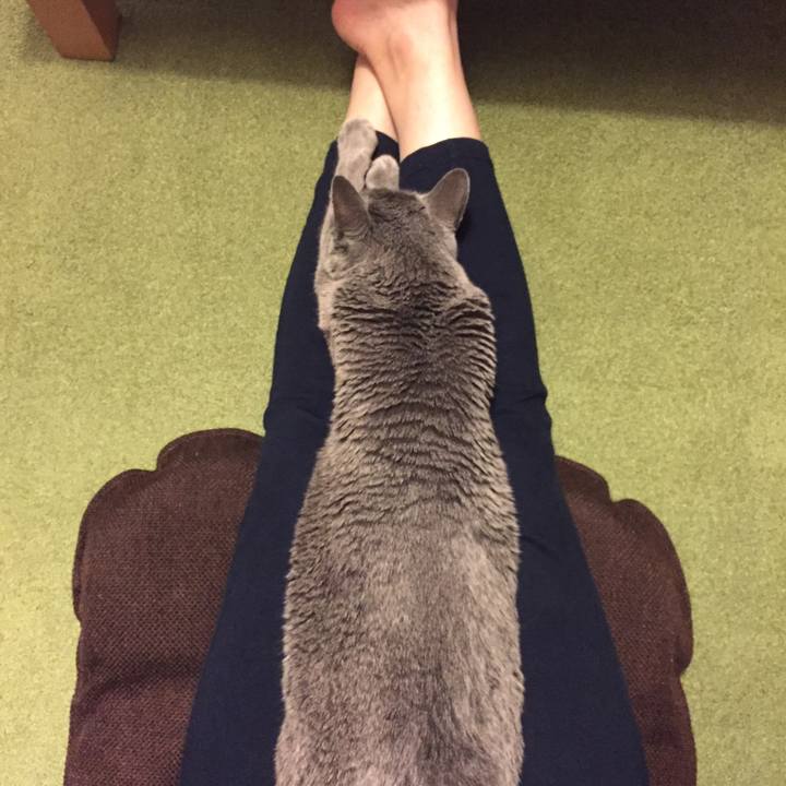 6f89fb6a 0e40 427f b44e 663cfc53e03d