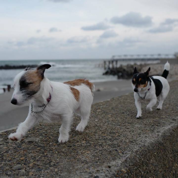 6f8a5212 ca37 41ea bd19 4836172f3670