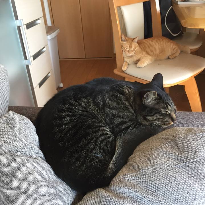 6f8b3e7f 6ff3 4e8e 9b63 143ea690ce61