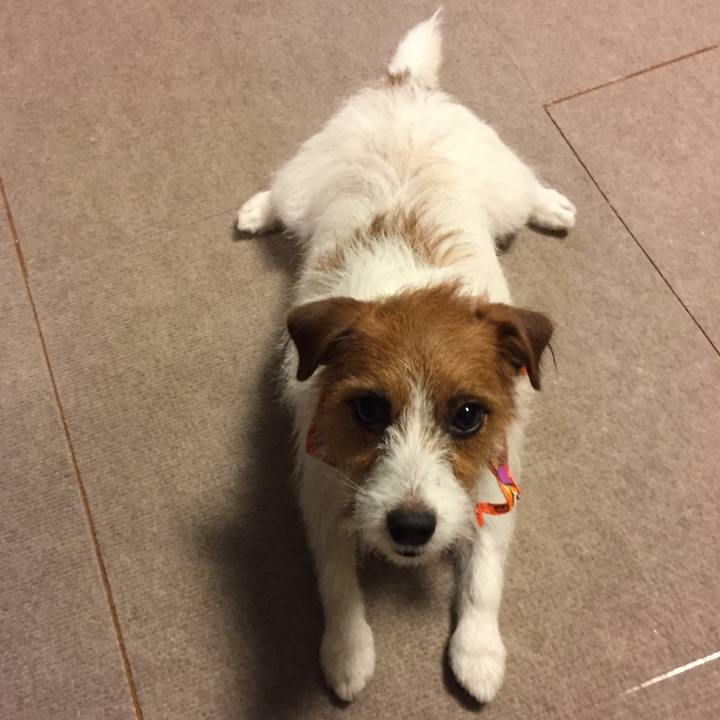 6f8b724f 6bb3 4a71 82d7 112034e96eb3