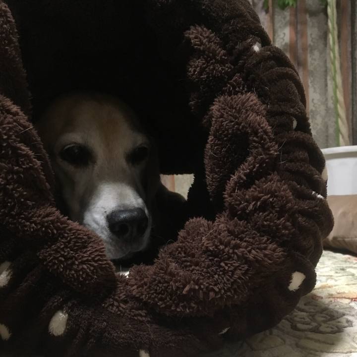 6f8bfb61 18f7 4007 b1c3 0871ab2877d5