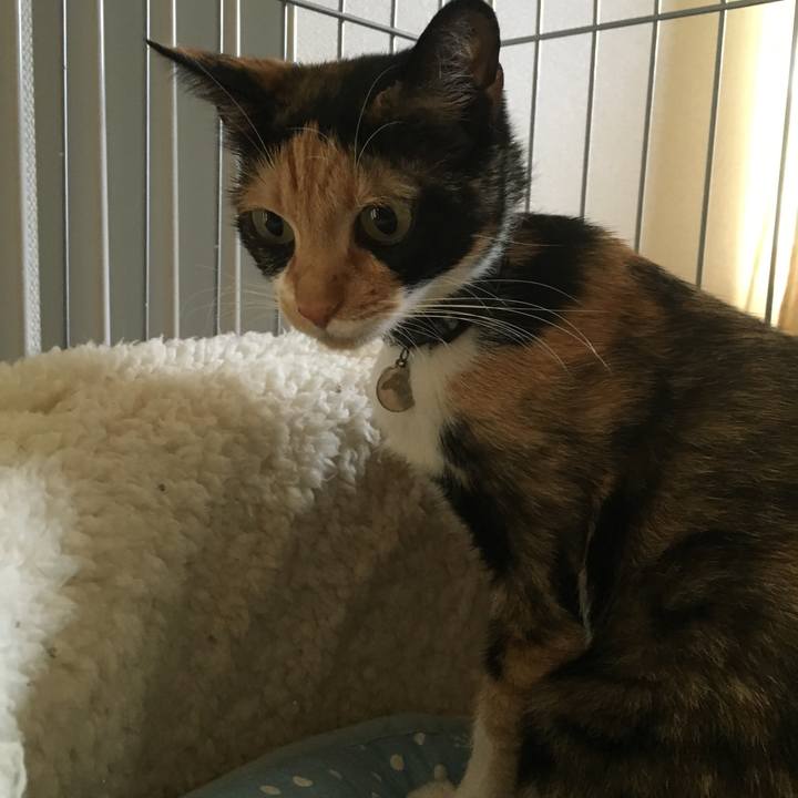 6f8dc0e9 a207 4fc8 8bba ec96b0f1a91c