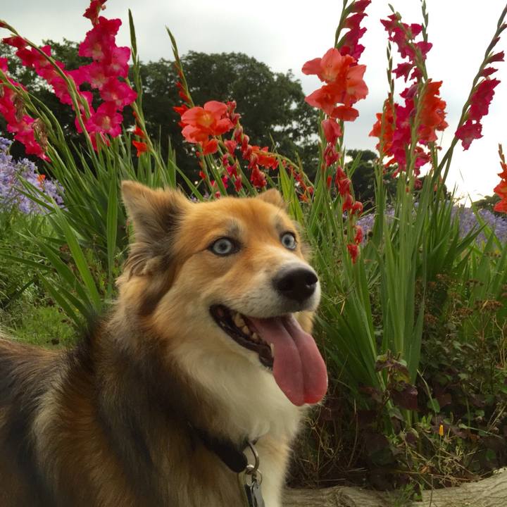 6f8e8908 908d 4a68 86d4 4f10ebb93e84