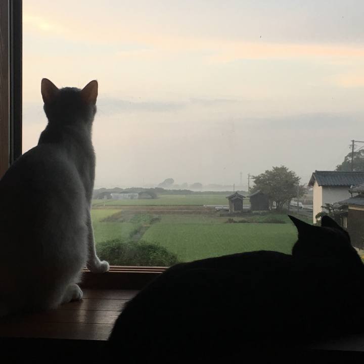 6f8f2112 536a 4bbd 8ea5 fa71f09daf0b