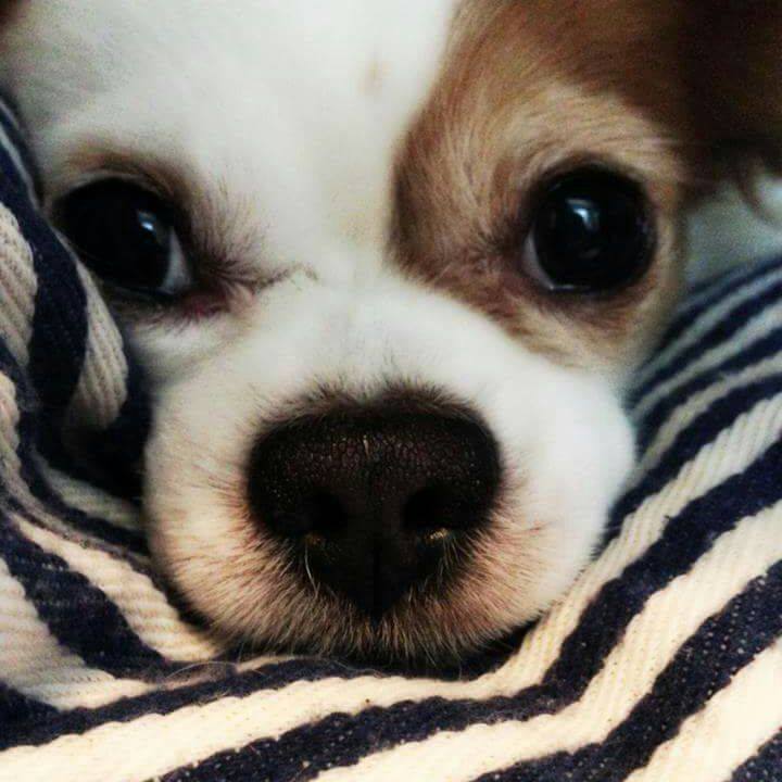 6f8f6f9b 6a9c 40a1 9a45 5b9ccaaad09f