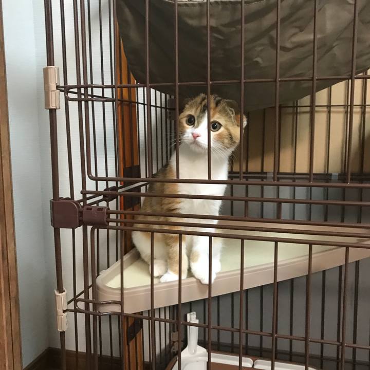 6f8fbcd1 a017 4641 b6be 94d014310f43