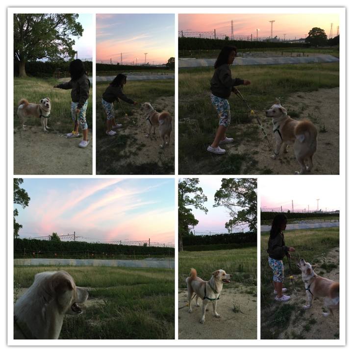 6f8feb52 c871 4d88 9a9a bb559702aa87