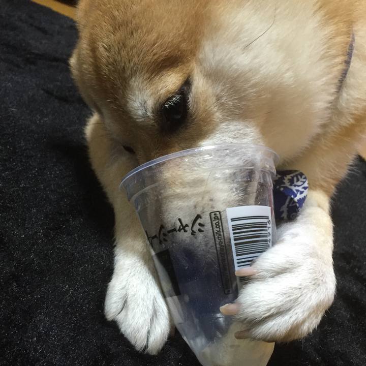 6f8ff72b c1b3 42ce a76e 643c3d51a108