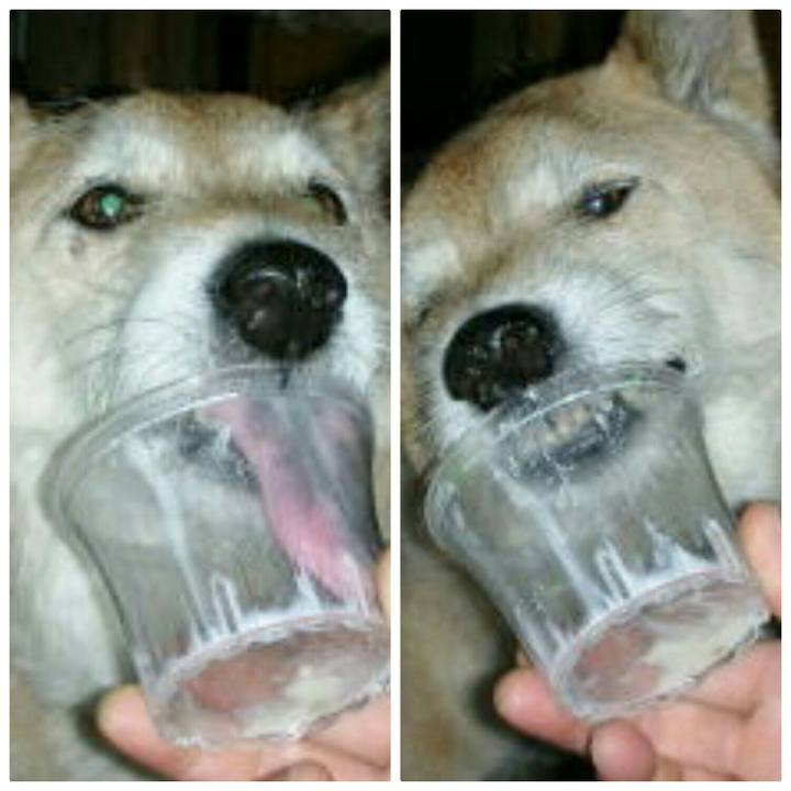 6f900963 db22 4be5 9016 15bbfd09c6c5