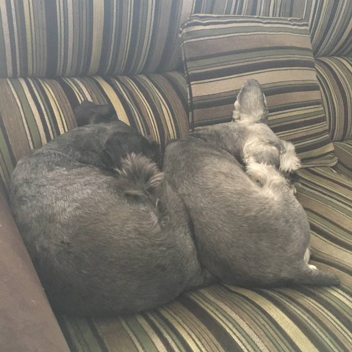 6f9090e5 30a2 450d a797 d73d214a8d6b