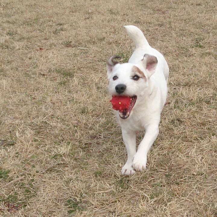 6f90c4b0 9b14 4067 82d1 96176ae0062c