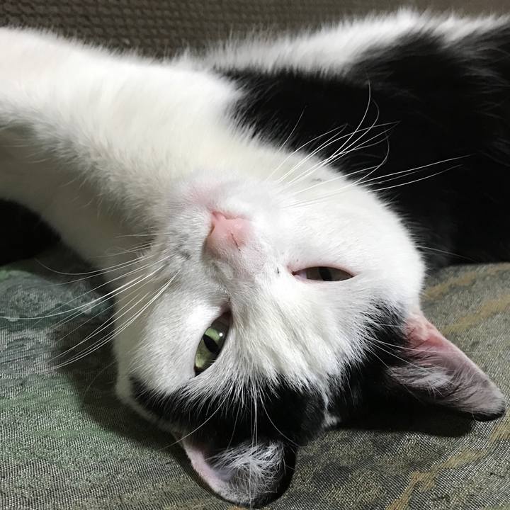 6f920f42 466a 4141 97e8 ab9d11872309