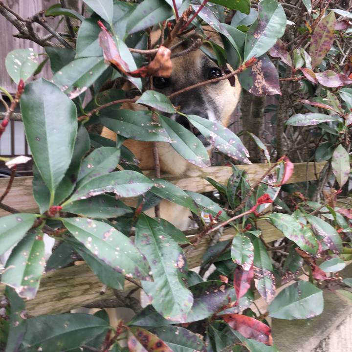 6f922f33 a158 4110 9b71 a1ad5c24eead