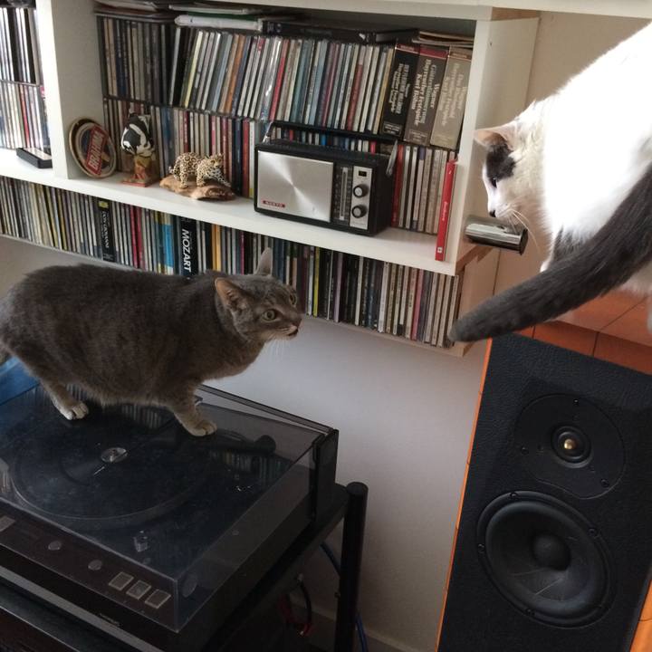 6f9279c4 7b49 41ff a966 6bc4b092fba3