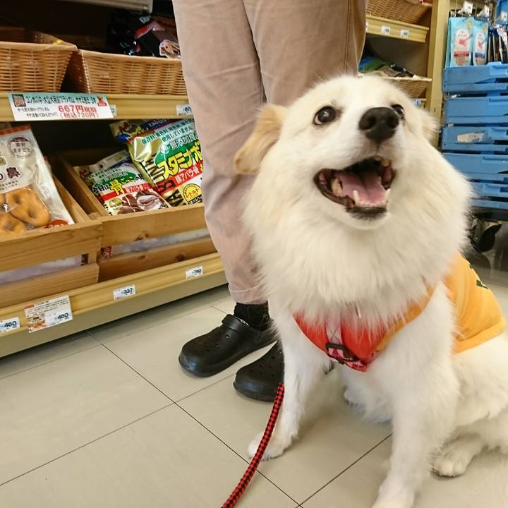 6f92822c f513 4752 84ee 50ee5957ac2f