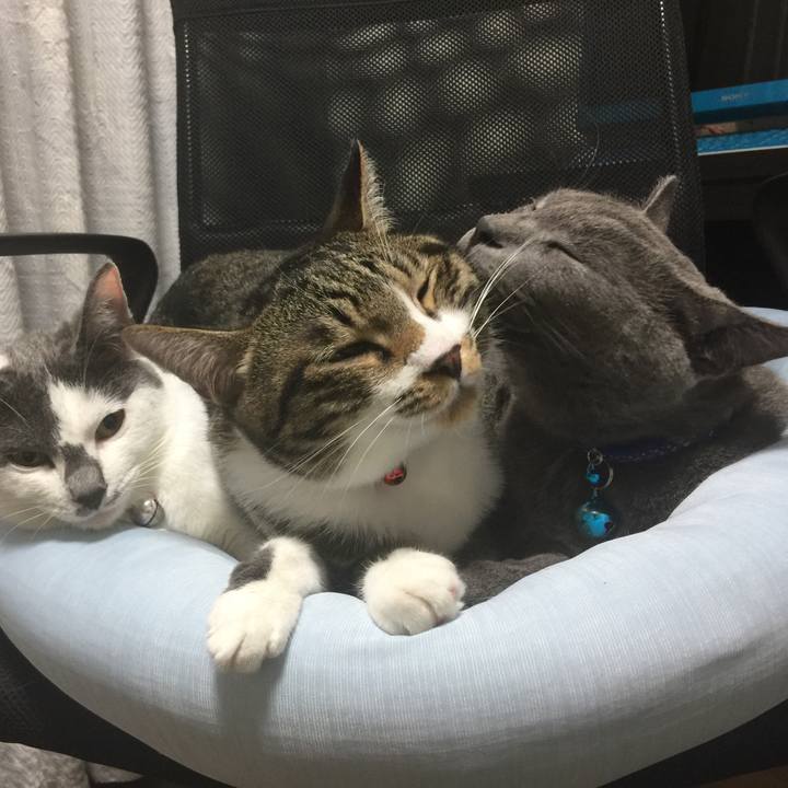 6f9290ea 3196 46f5 91c9 f294c0c3eb91