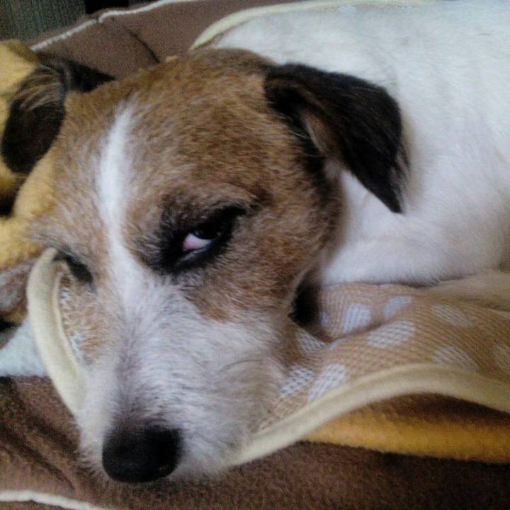 6f9293e2 ece0 4172 96a6 561836051179