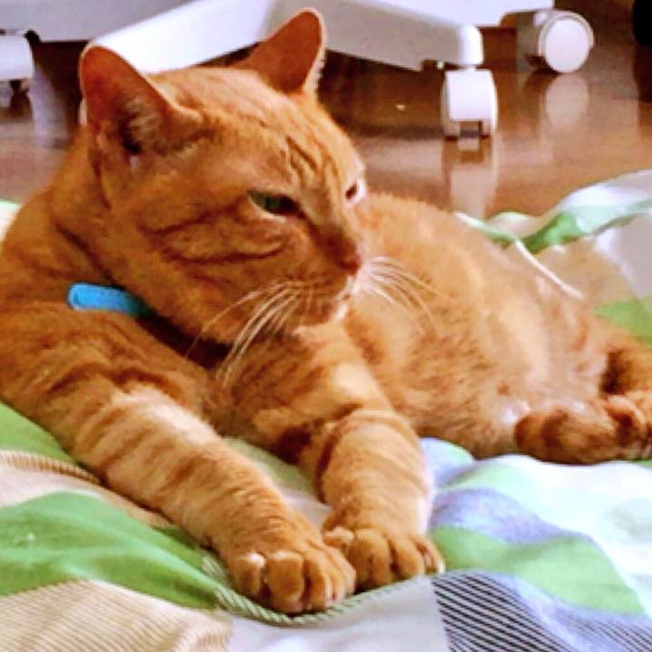 6f92cd1c 7b93 4bb7 89e0 4dfe23ca4627