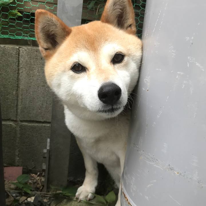 6f92d0e9 8ffb 43f6 ac24 db98b0a5a44b