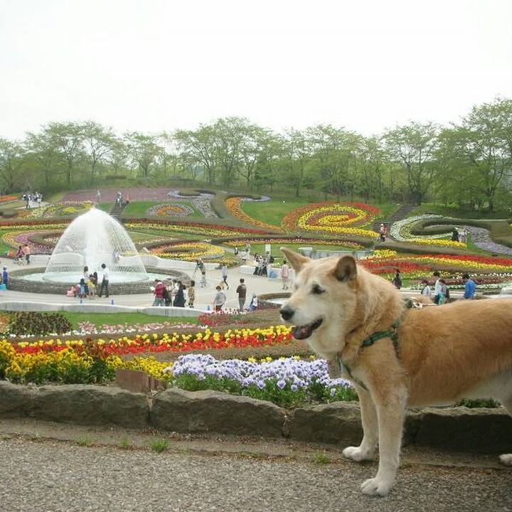 6f9327a8 7d19 4afd 8167 6cc5460a9110