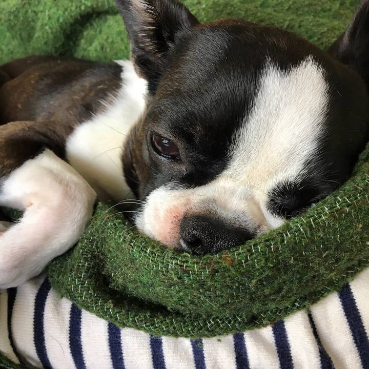 6f9366ef 9d9c 4765 8d07 fbac1f6b5fbe