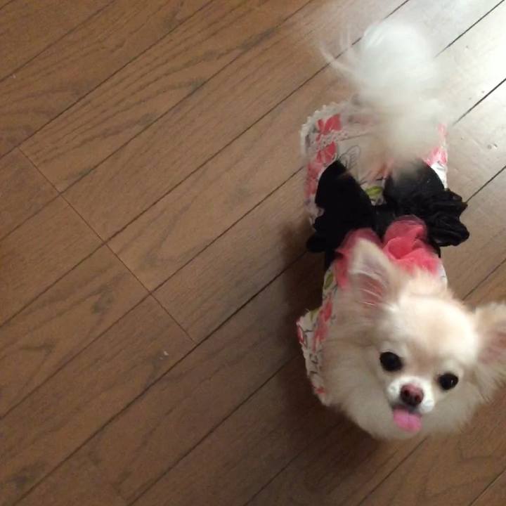 6f936c5d f0f5 438e 8920 97f254410d4e