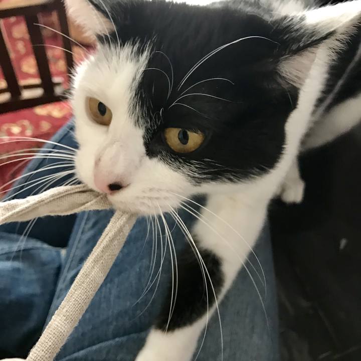 6f9384b7 b482 45f7 b126 be916659c21e