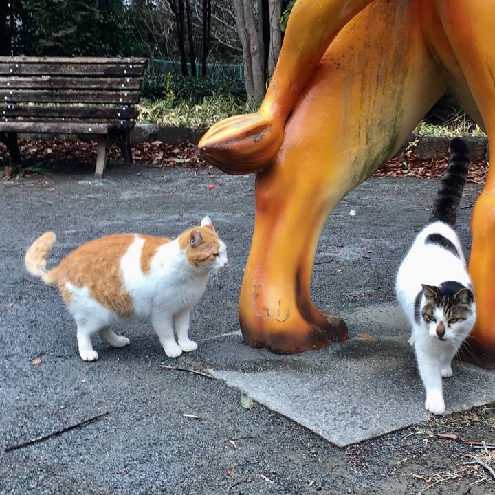 6f9500ea 548a 44c1 81c1 e2b35596c7e1