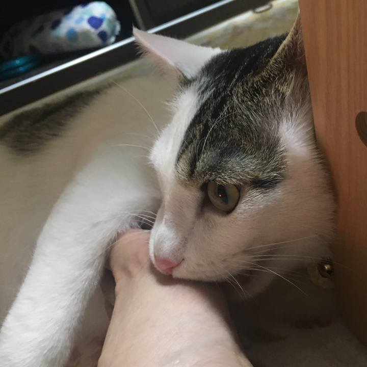 6f9517de dda6 460e 9856 e3176588024a